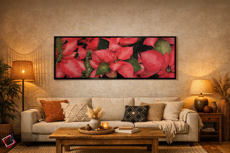 تابلو دکوراتیو گل های پوانستیا نزدیک I اثر پانورامیک ایمجز - D6B