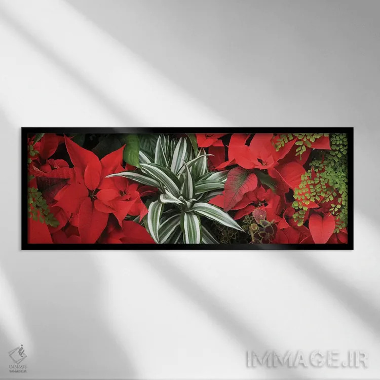 تابلو دکوراتیو گل های پوانستیا نزدیک IV اثر پانورامیک ایمجز - نمای قابدار مشکی