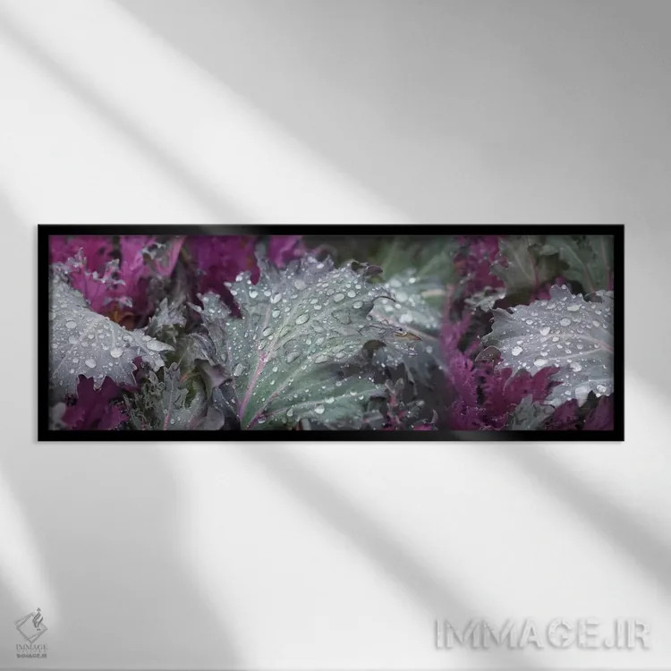 تابلو دکوراتیو قطرات باران روی برگ های سبز و بنفش نزدیک اثر پانورامیک ایمجز - نمای قابدار مشکی