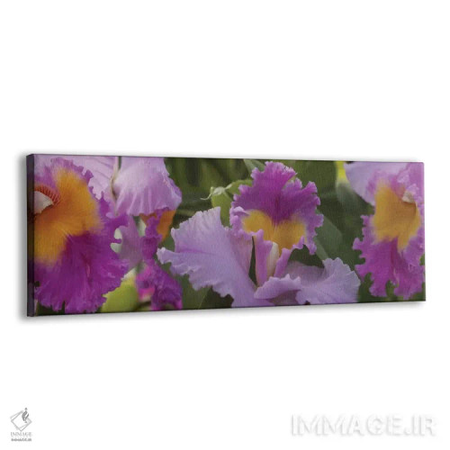 تابلو دکوراتیو گل های ارکیده بنفش نزدیک II اثر پانورامیک ایمجز - نمای پرسپکتیو محصول