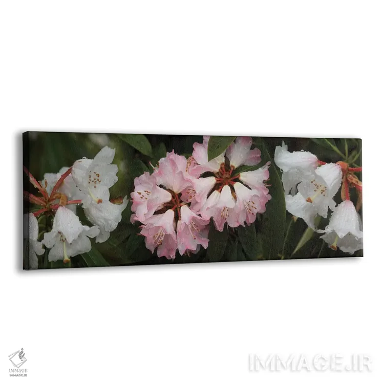 تابلو دکوراتیو قطرات باران روی گل های رودودندرون نزدیک II اثر پانورامیک ایمجز - نمای پرسپکتیو محصول
