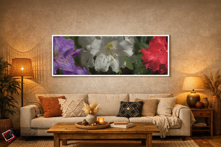 تابلو دکوراتیو باران روی گل های رودودندرون مختلف نزدیک اثر پانورامیک ایمجز - D5W