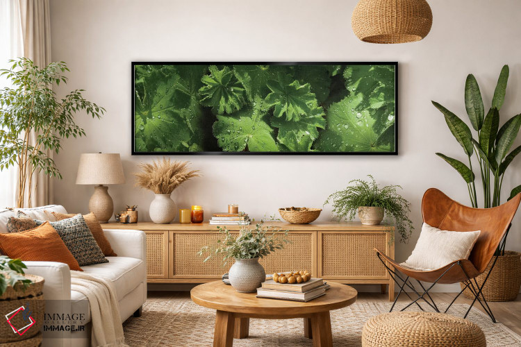 تابلو دکوراتیو قطرات باران روی برگ ها نزدیک III اثر پانورامیک ایمجز - D2B