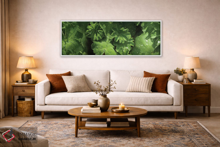 تابلو دکوراتیو قطرات باران روی برگ ها نزدیک III اثر پانورامیک ایمجز - D5W