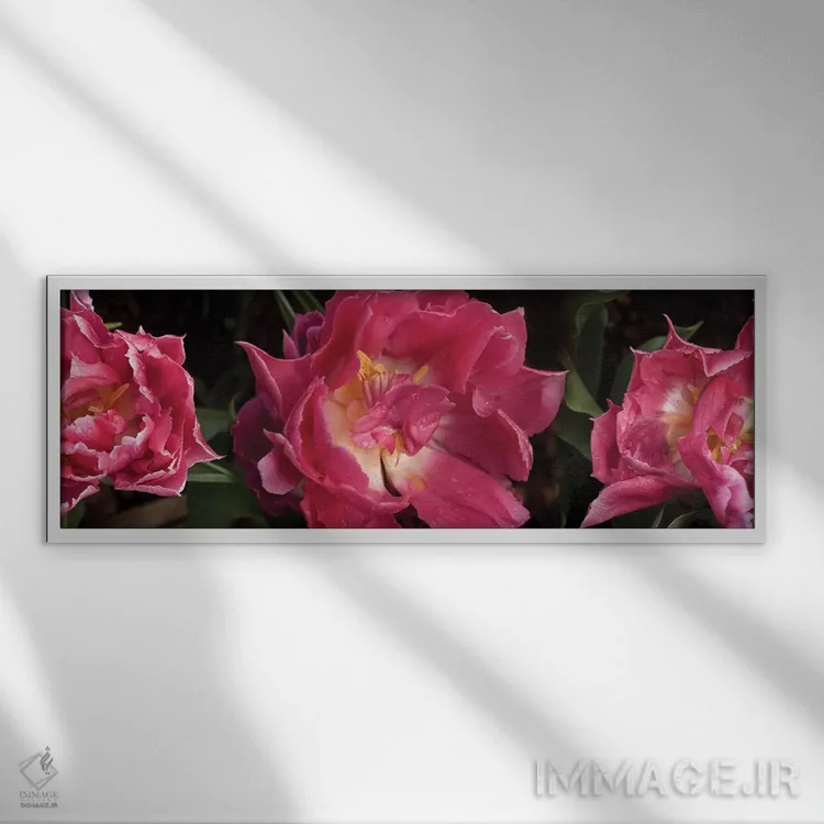 تابلو دکوراتیو گل های قرمز در حال شکوفه دادن نزدیک اثر پانورامیک ایمجز - نمای قابدار سفید