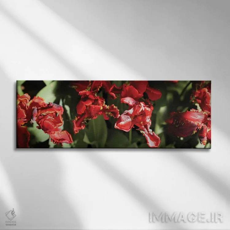 تابلو دکوراتیو گل های قرمز در حال شکوفه دادن روی گیاه نزدیک اثر پانورامیک ایمجز - نمای روبهرو روی دیوار