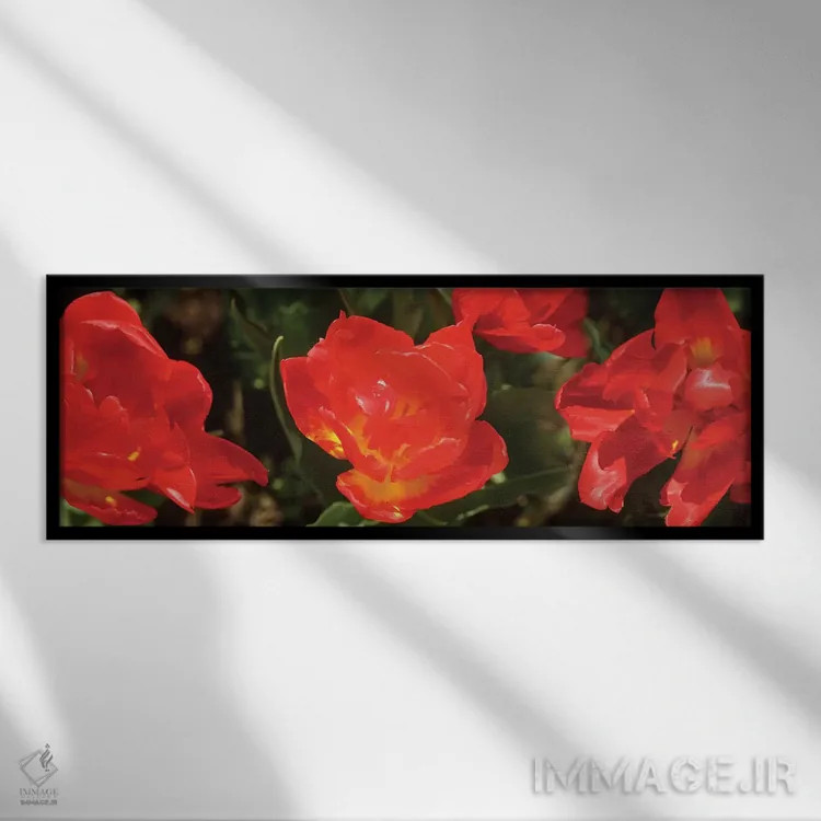 تابلو دکوراتیو گل های لاله قرمز نزدیک II اثر پانورامیک ایمجز - نمای قابدار مشکی