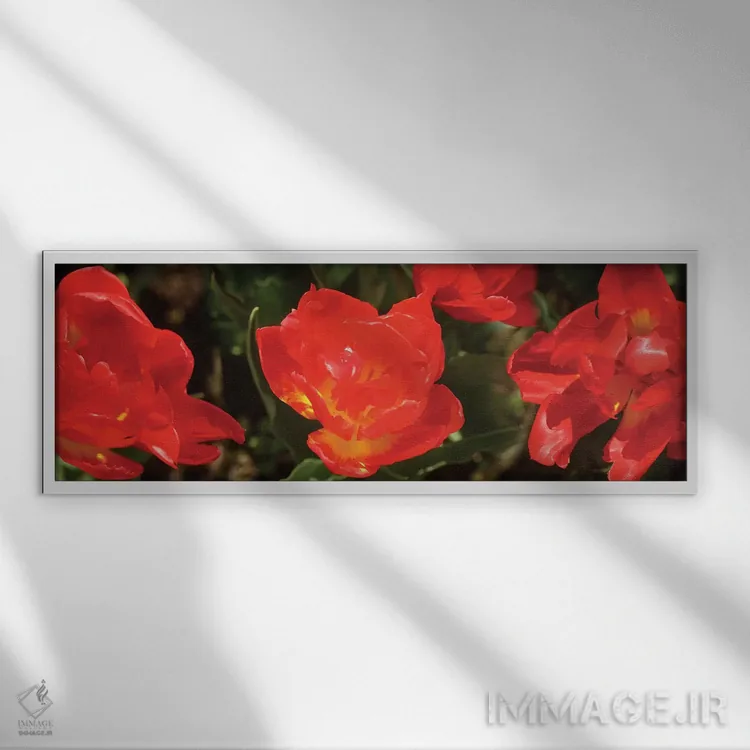 تابلو دکوراتیو گل های لاله قرمز نزدیک II اثر پانورامیک ایمجز - نمای قابدار سفید