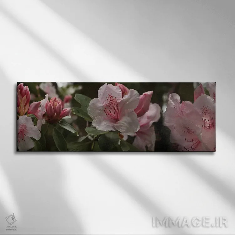 تابلو دکوراتیو گل های رودودندرون نزدیک I اثر پانورامیک ایمجز - نمای روبهرو روی دیوار