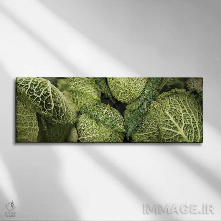 تابلو دکوراتیو کلم های ساووی در حال رشد روی گیاه نزدیک اثر پانورامیک ایمجز - نمای روبهرو روی دیوار