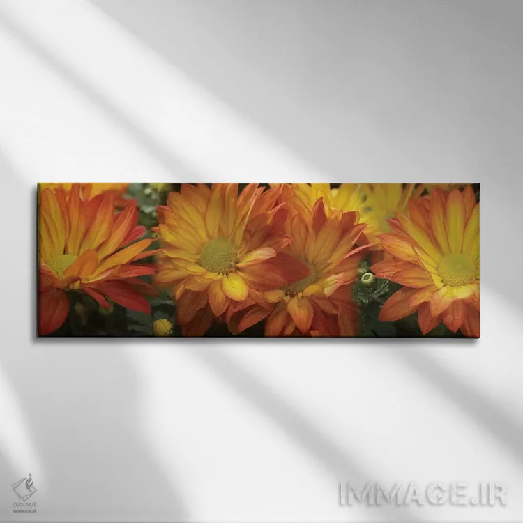 تابلو دکوراتیو گل های داوودی ژربرا زرد نزدیک اثر پانورامیک ایمجز - نمای روبهرو روی دیوار