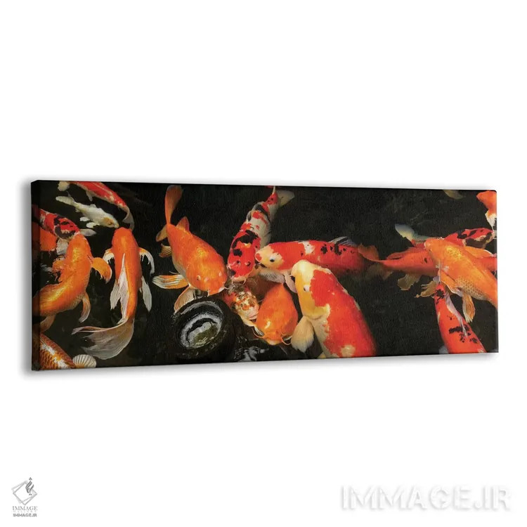 تابلو دکوراتیو ماهی کای رنگی III اثر پانورامیک ایمجز - نمای پرسپکتیو محصول