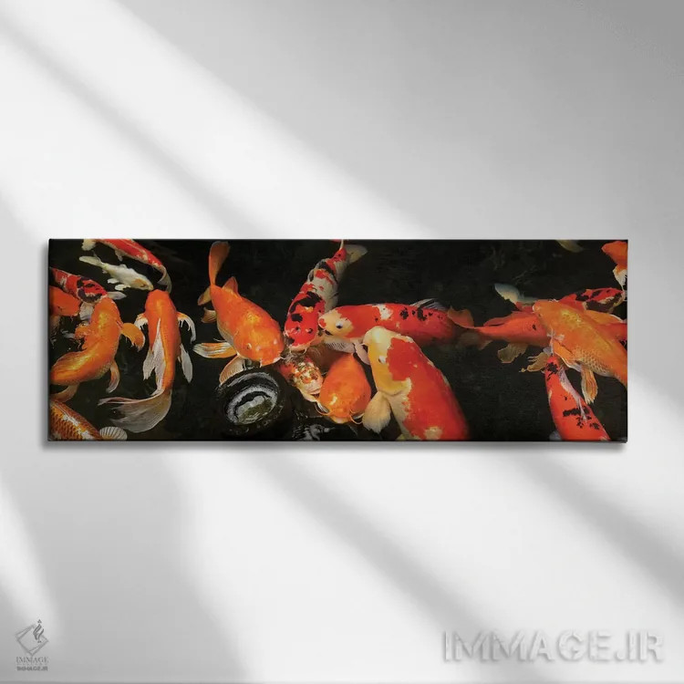 تابلو دکوراتیو ماهی کای رنگی III اثر پانورامیک ایمجز - نمای روبهرو روی دیوار