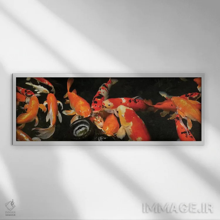 تابلو دکوراتیو ماهی کای رنگی III اثر پانورامیک ایمجز - نمای قابدار سفید
