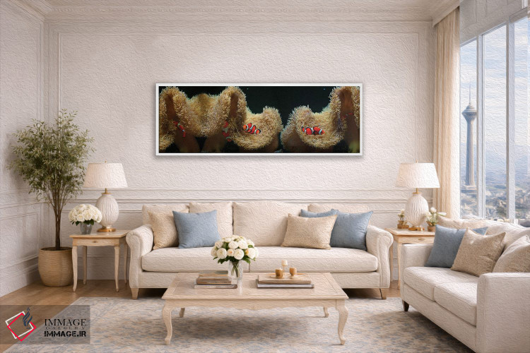 تابلو دکوراتیو ماهی دلقک در حال شنا در نزدیکی مرجان اثر پانورامیک ایمجز - D3W