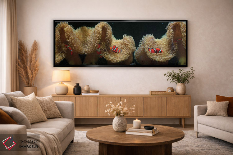 تابلو دکوراتیو ماهی دلقک در حال شنا در نزدیکی مرجان اثر پانورامیک ایمجز - D4B