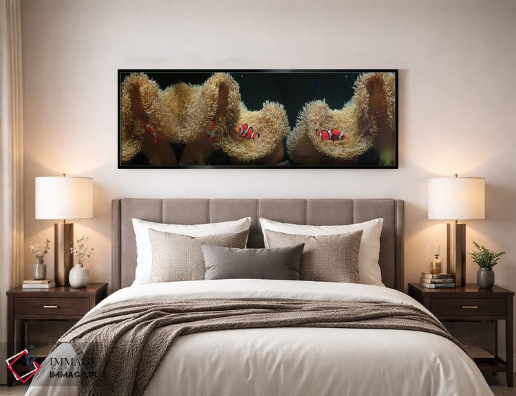 تابلو دکوراتیو ماهی دلقک در حال شنا در نزدیکی مرجان اثر پانورامیک ایمجز - D5B