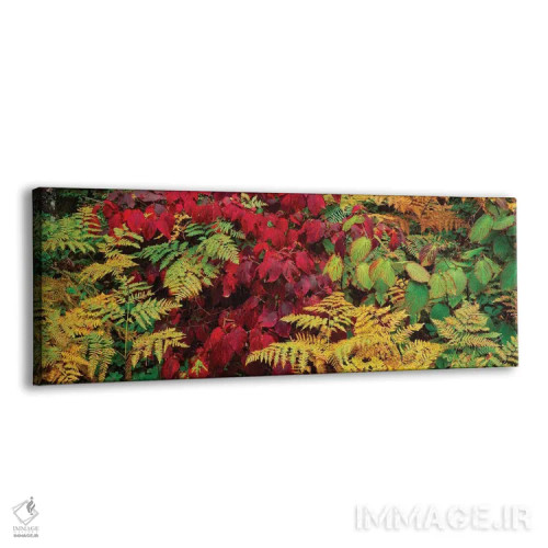 تابلو دکوراتیو برگ های پاییزی در جنگل، کوه های آدیرونداک، شهرستان فران… اثر پانورامیک ایمجز - نمای پرسپکتیو محصول