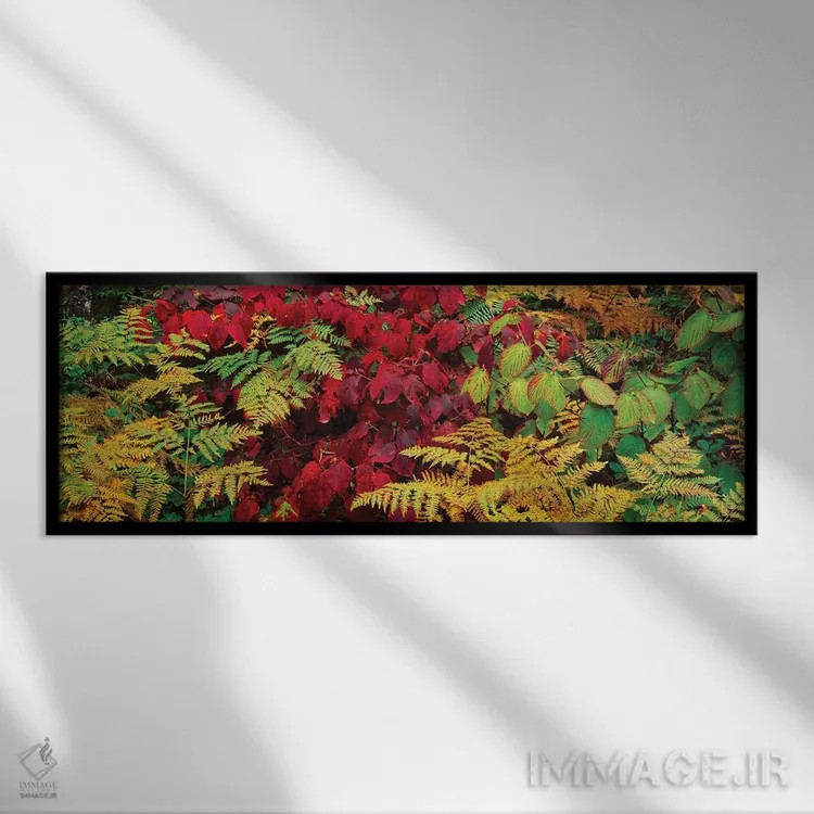 تابلو دکوراتیو برگ های پاییزی در جنگل، کوه های آدیرونداک، شهرستان فران… اثر پانورامیک ایمجز - نمای قابدار مشکی