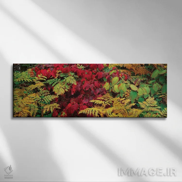تابلو دکوراتیو برگ های پاییزی در جنگل، کوه های آدیرونداک، شهرستان فران… اثر پانورامیک ایمجز - نمای روبهرو روی دیوار