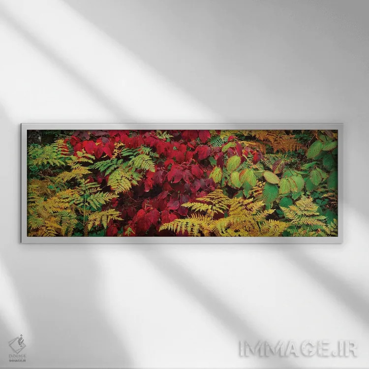 تابلو دکوراتیو برگ های پاییزی در جنگل، کوه های آدیرونداک، شهرستان فران… اثر پانورامیک ایمجز - نمای قابدار سفید
