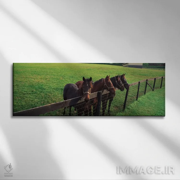 تابلو دکوراتیو چهار اسب که کنار حصار ایستاده اند، شهرستان بالتیمور، مر… اثر پانورامیک ایمجز - نمای روبهرو روی دیوار