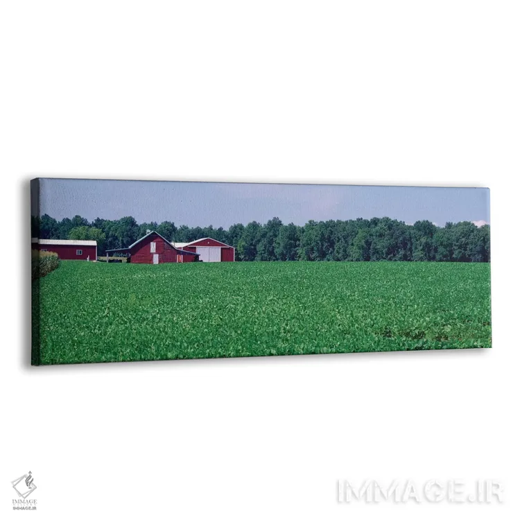 تابلو دکوراتیو دشت سبز با انبار در پس زمینه، مریلند، ایالات متحده اثر پانورامیک ایمجز - نمای پرسپکتیو محصول