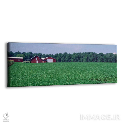 تابلو دکوراتیو دشت سبز با انبار در پس زمینه، مریلند، ایالات متحده اثر پانورامیک ایمجز - نمای پرسپکتیو محصول