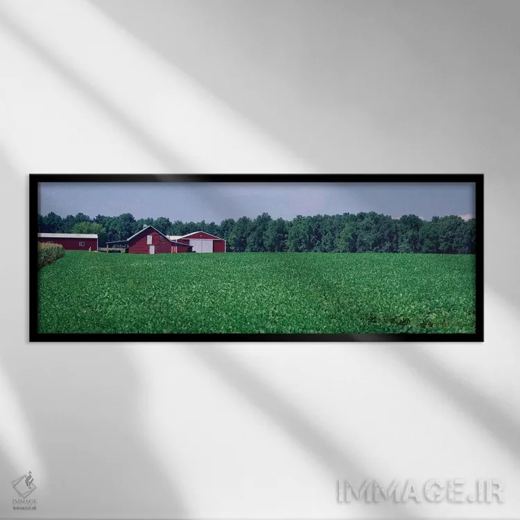 تابلو دکوراتیو دشت سبز با انبار در پس زمینه، مریلند، ایالات متحده اثر پانورامیک ایمجز - نمای قابدار مشکی