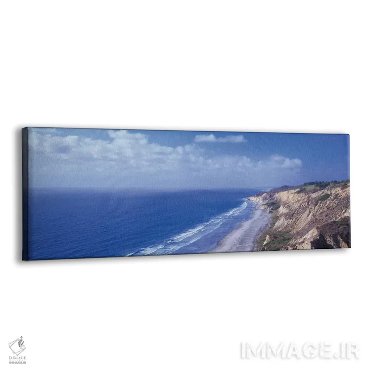 تابلو دکوراتیو Torrey Pines State Reserve, La Jolla, San Diego, Califo… اثر پانورامیک ایمجز - نمای پرسپکتیو محصول