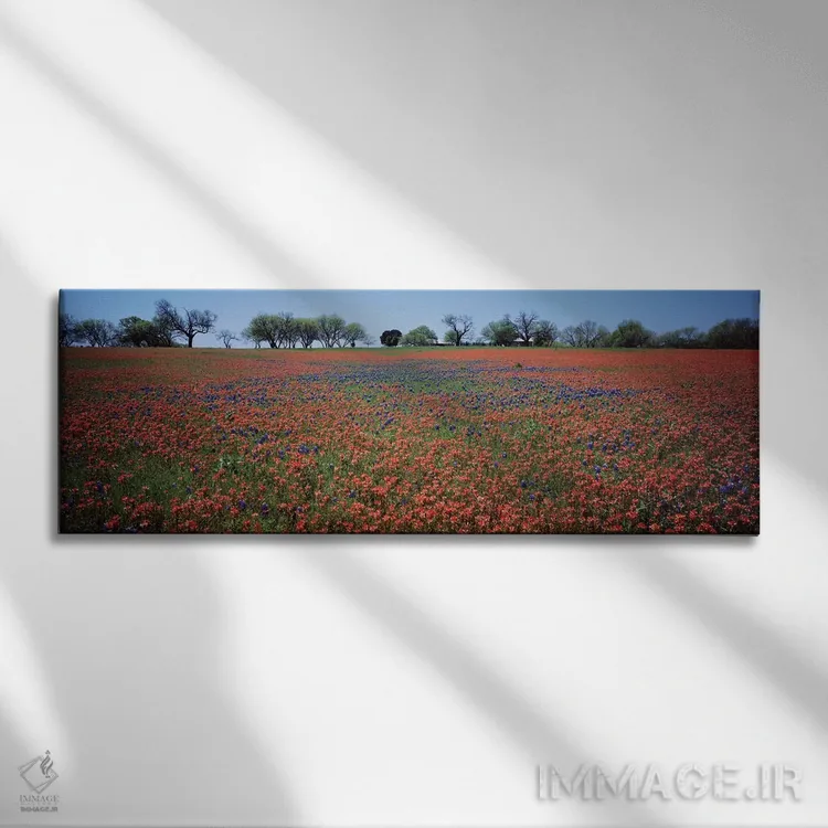 تابلو دکوراتیو Texas" - "قلم موی هندی و گل های آبی بنیتس، تگزاس" اثر پانورامیک ایمجز - نمای روبهرو روی دیوار