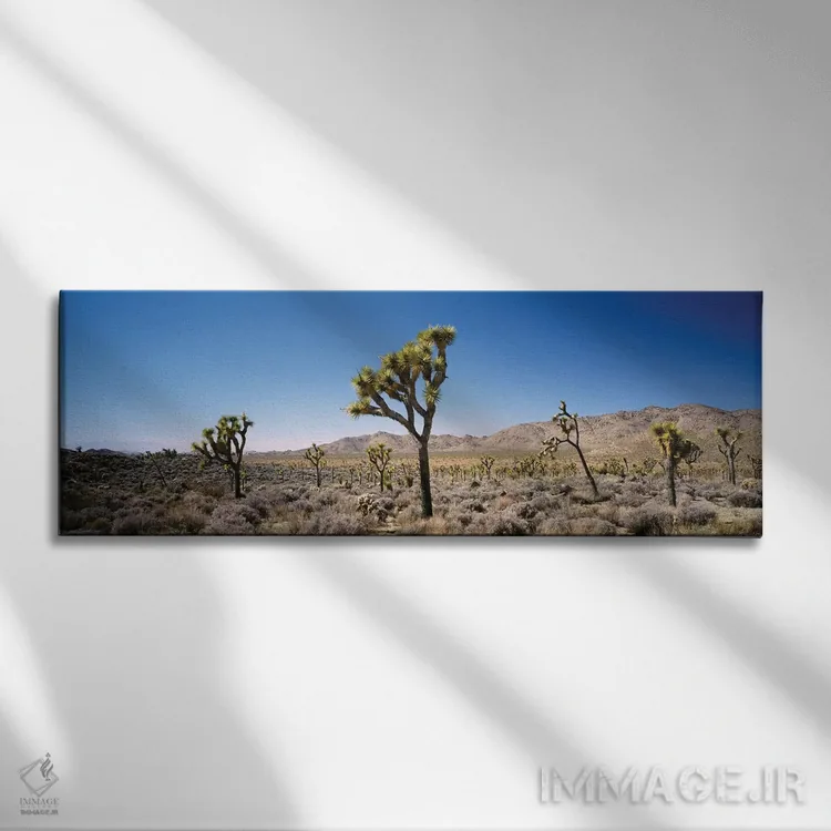 تابلو دکوراتیو California, USA II" - "پارک ملی درخت جاشوآ، کالیفرنیا… اثر پانورامیک ایمجز - نمای روبهرو روی دیوار