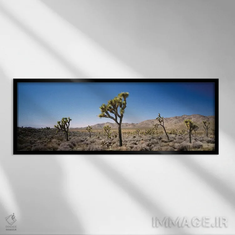 تابلو دکوراتیو California, USA II" - "پارک ملی درخت جاشوآ، کالیفرنیا… اثر پانورامیک ایمجز - نمای قابدار مشکی