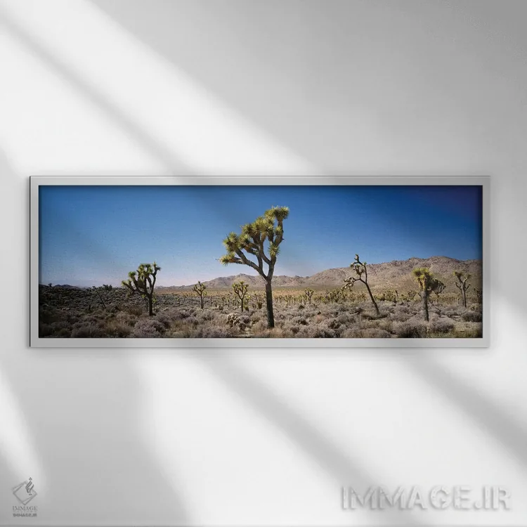 تابلو دکوراتیو California, USA II" - "پارک ملی درخت جاشوآ، کالیفرنیا… اثر پانورامیک ایمجز - نمای قابدار سفید
