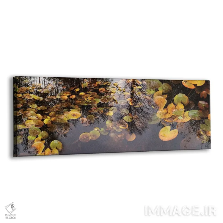 تابلو دکوراتیو برگ نیلوفر آبی شناور در برکه اثر پانورامیک ایمجز - نمای پرسپکتیو محصول