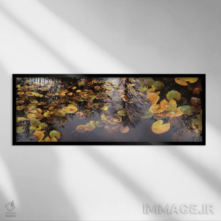 تابلو دکوراتیو برگ نیلوفر آبی شناور در برکه اثر پانورامیک ایمجز - نمای قابدار مشکی