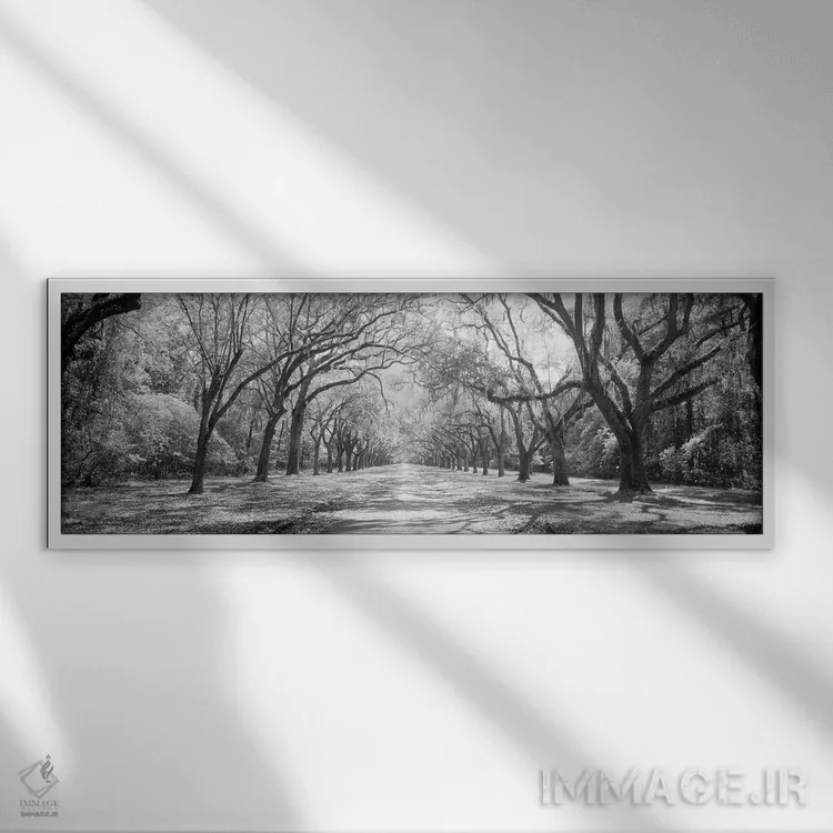 تابلو دکوراتیو Georgia II" - "بلوط های زنده و خزه اسپانیایی در سایت تا… اثر پانورامیک ایمجز - نمای قابدار سفید