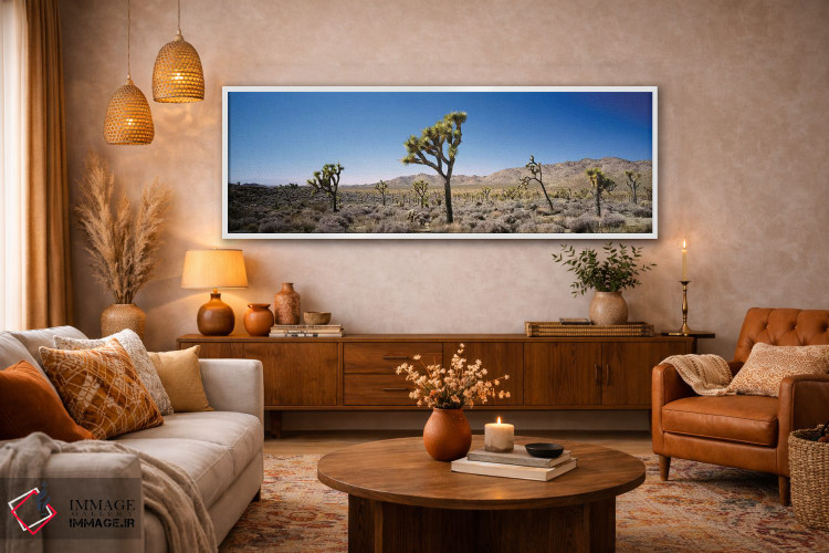 تابلو دکوراتیو California, USA II" - "پارک ملی درخت جاشوآ، کالیفرنیا… اثر پانورامیک ایمجز - D4W