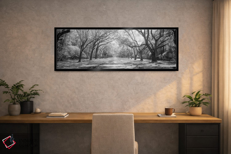 تابلو دکوراتیو Georgia II" - "بلوط های زنده و خزه اسپانیایی در سایت تا… اثر پانورامیک ایمجز - D2B