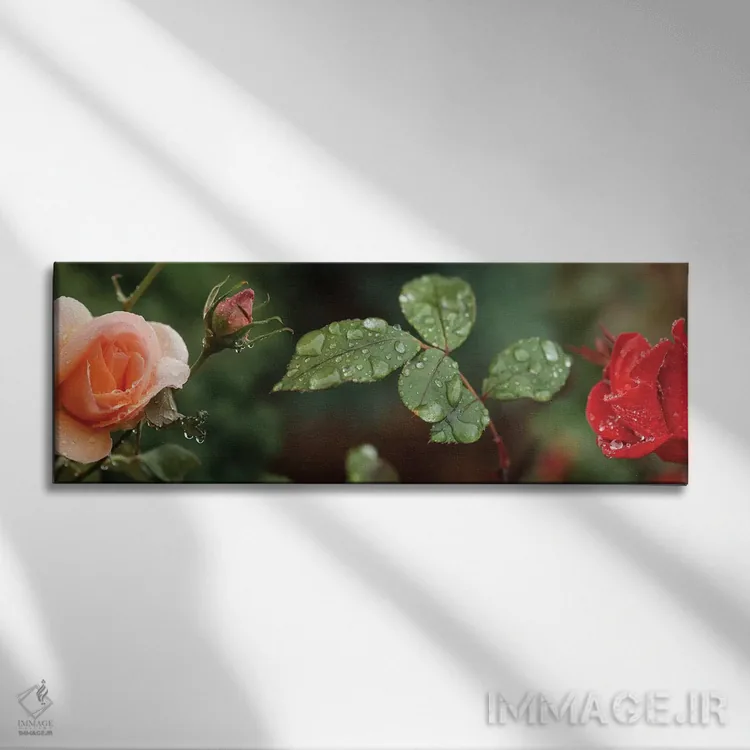 تابلو دکوراتیو "قطره باران روی گل ها و برگ های گل رز" اثر پانورامیک ایمجز - نمای روبهرو روی دیوار