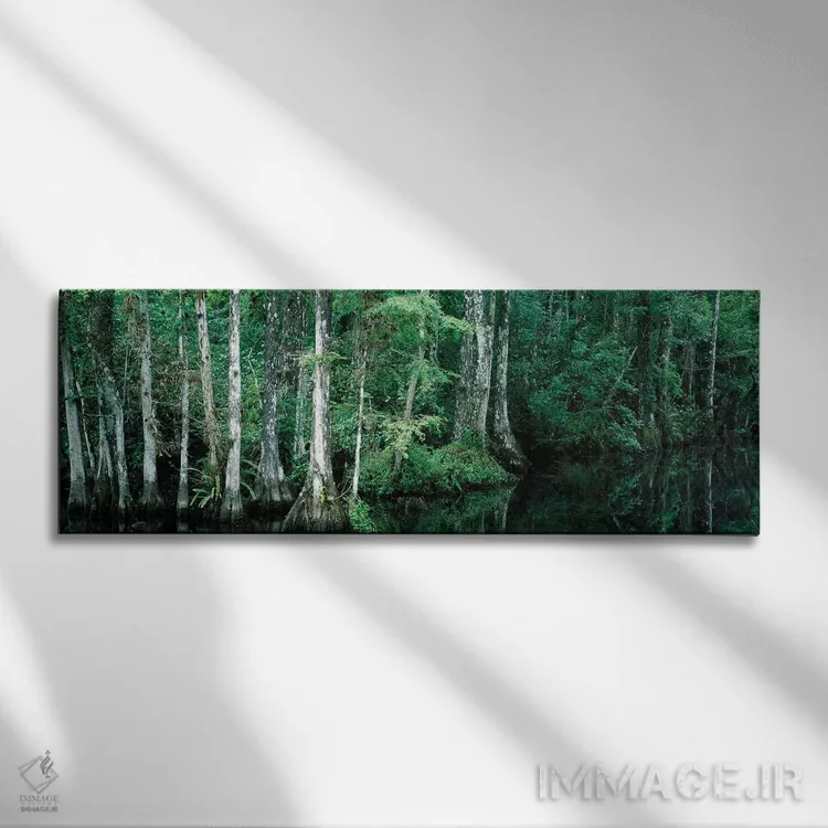 تابلو دکوراتیو "بازتاب درختان در حوضچه، ذخیره گاه ملی بیگ سایپر، فلوری… اثر پانورامیک ایمجز - نمای روبهرو روی دیوار