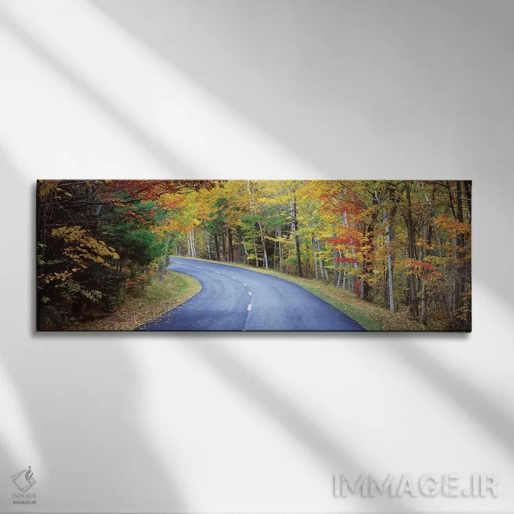 تابلو دکوراتیو "جاده ای که از جنگلی می گذرد، جاده پارک لوپ، پارک ملی آ… اثر پانورامیک ایمجز - نمای روبهرو روی دیوار