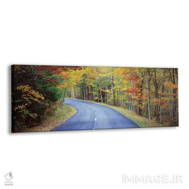 تابلو دکوراتیو "جاده ای که از جنگلی می گذرد، جاده پارک لوپ، پارک ملی آ… اثر پانورامیک ایمجز - نمای پرسپکتیو محصول