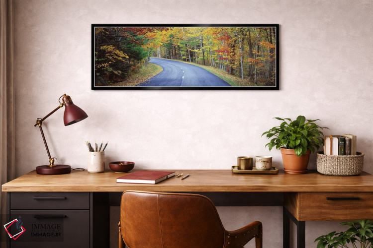 تابلو دکوراتیو "جاده ای که از جنگلی می گذرد، جاده پارک لوپ، پارک ملی آ… اثر پانورامیک ایمجز - D3B