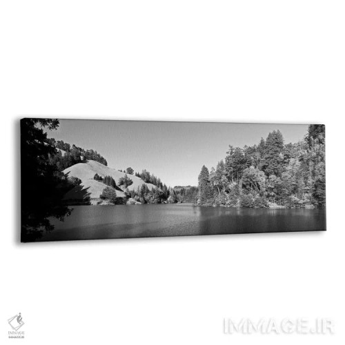 تابلو دکوراتیو Lake Lagunitas, Marin County, California, USA " - "درخت… اثر پانورامیک ایمجز - نمای پرسپکتیو محصول