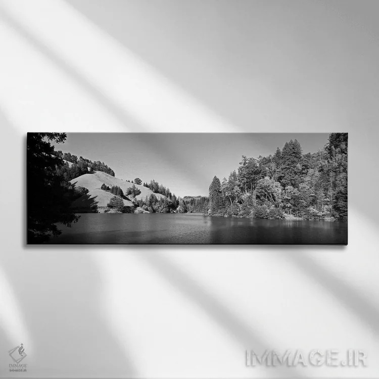 تابلو دکوراتیو Lake Lagunitas, Marin County, California, USA " - "درخت… اثر پانورامیک ایمجز - نمای روبهرو روی دیوار