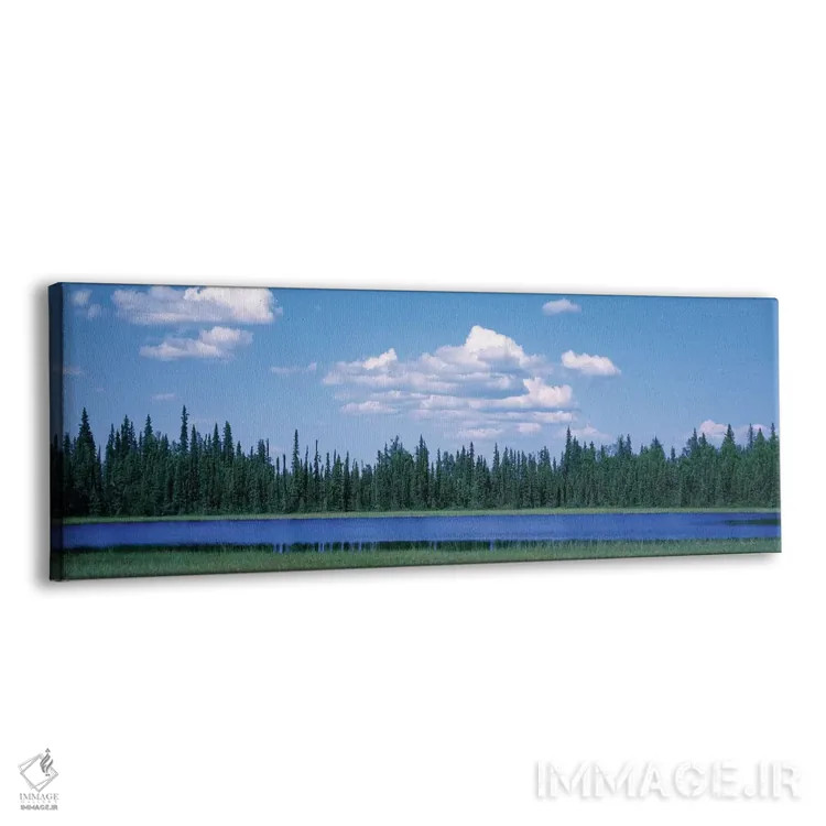 تابلو دکوراتیو Alaska, USA" - "درختان در کنار دریاچه، آلاسکا، ایالات م… اثر پانورامیک ایمجز - نمای پرسپکتیو محصول