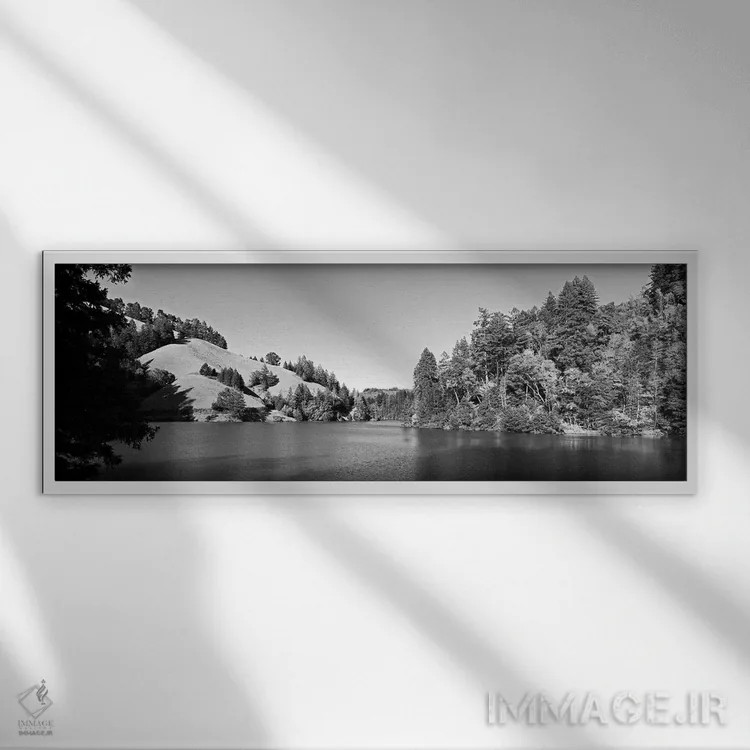 تابلو دکوراتیو Lake Lagunitas, Marin County, California, USA " - "درخت… اثر پانورامیک ایمجز - نمای قابدار سفید