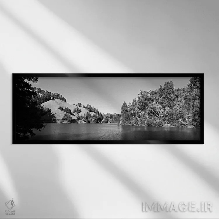 تابلو دکوراتیو Lake Lagunitas, Marin County, California, USA " - "درخت… اثر پانورامیک ایمجز - نمای قابدار مشکی