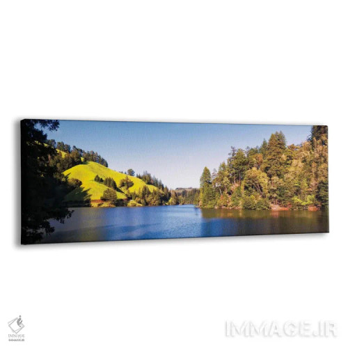 تابلو دکوراتیو Lake Lagunitas, Marin County, California, USA" - "درختا… اثر پانورامیک ایمجز - نمای پرسپکتیو محصول